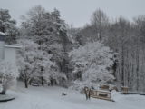 DSC_4046.JPG