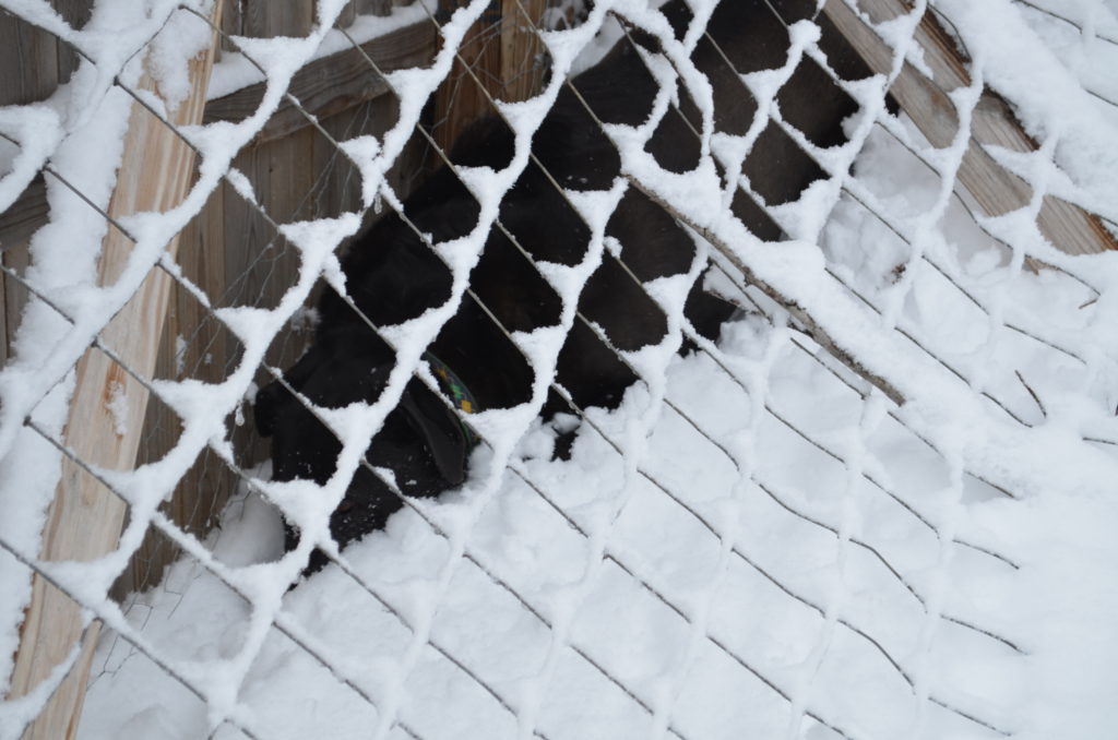 DSC_4051.JPG