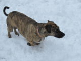 DSC_4103.JPG