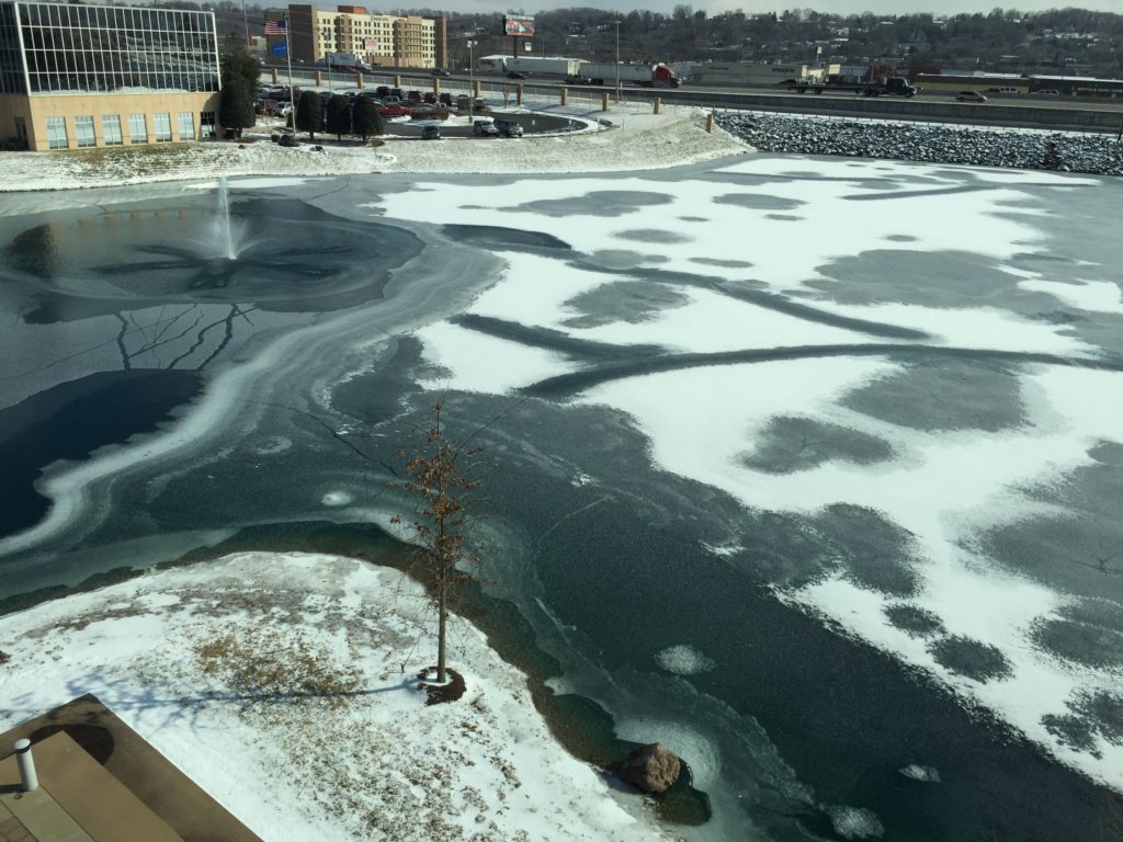 Frozen Pond