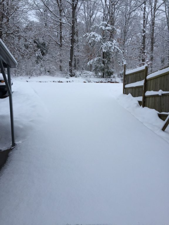 Snow covered driveway