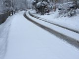 Tracks on Roberts Road